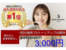 ダンブランシュサンダ(dents Blanches SANDA)