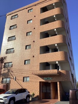 EYEシテル バイ カメレオンネイルの写真/【あなたを主役にする目元へ♪】根元から立ち上げパッチリ華やかに！下まつ毛だけでも印象に大きな変化◎