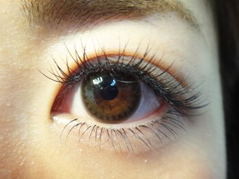 アイワールド(Eye World)/上120本、下40本