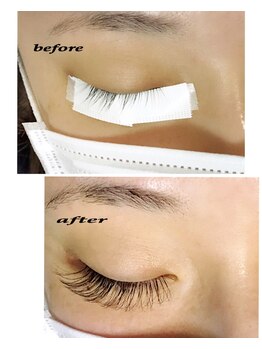 プラッシュ(Plash)/3Dボリュームラッシュ　80束