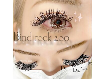 ジェリー(Jerry)の写真