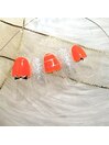 6月選べるサンプル