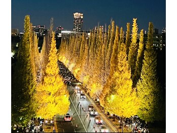 美助(bisuke)/ライトアップされた銀杏並木