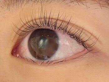 カラン 焼津店(CALIN)/ラスティングカール