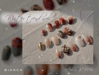 ビアンカ ネイルサロン 大宮店(Bianca)/キャンペーン冬デザイン
