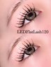★ご新規様限定★大人気LカールLED120本￥7500→￥6800