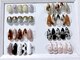 トイネイル(toinail)の写真