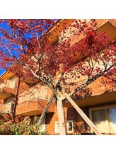 アロマ プリュム ド パン(aroma plume de paon)/《外観》秋～冬