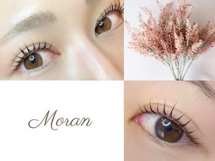 モラン(Moran)の写真