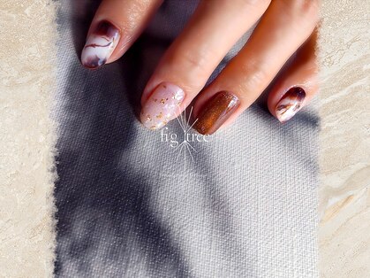 フィグ ツリー(fig tree)の写真