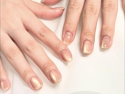 アウリイ(aulii)の写真