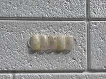 エクレ(ecle)/4月の定額デザイン¥7000