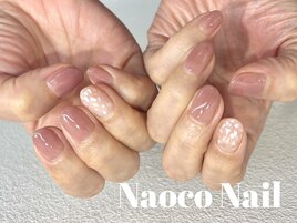 ワンカラー＆マルチカラーシェル