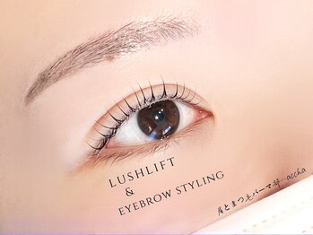 アチャ(accha)の写真/一重・奥二重のお悩みに寄り添い,目元に合ったデザインをご提案◎[観音寺/四国中央/眉毛/まつげパーマ]