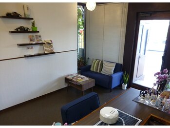 ミラソル(Mirasol)/