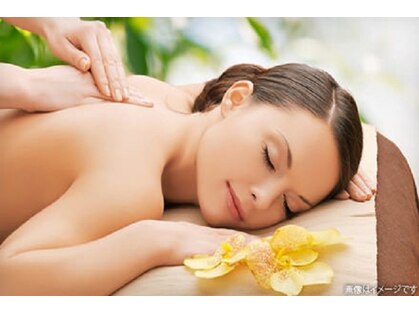 セラピア(SERAPIA)の写真