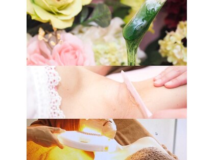 ベル(Belle)の写真