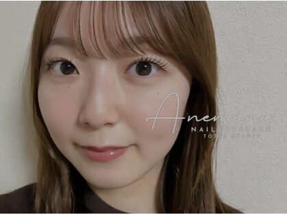 アネモナ(ANEMONA)の写真