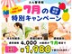 エル鍼灸整骨院の写真