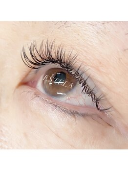 エステラ(ESTELA)/BINDラッシュ 100束