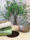 ちあふるの写真/【黄土よもぎ蒸し+ハーブブレンド】冷え・むくみ解消/血行促進/発汗！デトックス効果も◎
