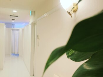 サロンドナチュール 呉服町店/白を基調とした店内