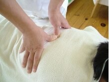 整体工房リバティ 八山田店/肩甲骨周りのツボ押し