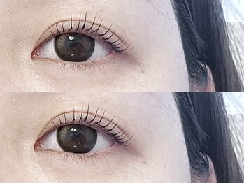 エム アイデザイン(M.eyedesign)/セラムラッシュリフト★Ｌカール