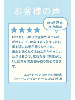 エステティック レイビス 銀座店(RAYVIS)/