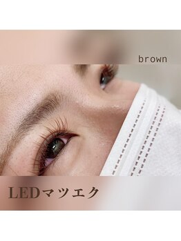 ワンダーウォール 行橋店(WONDER WALL)/ブラウンエクステ