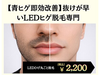 メグル(MEGURU)の写真