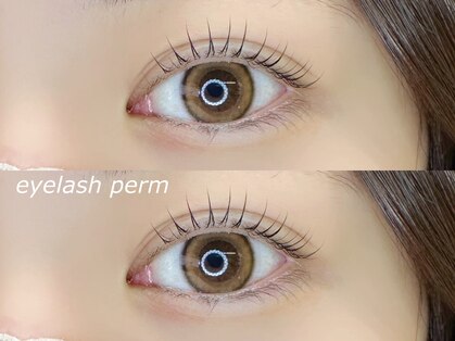 クプ アイラッシュプラス(qup)の写真