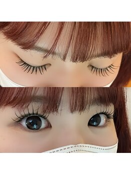 マカロン(macaron)/フラットラッシュ120本♪