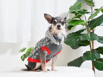 エステサロン エクラ/看板犬店長のむに君1