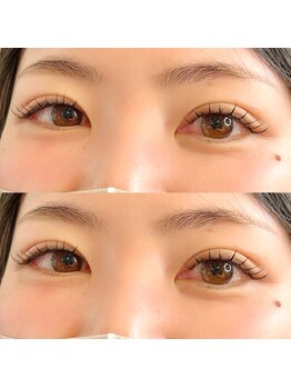 シャルム(Charme)/フラットラッシュ