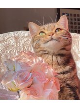 ロージー(Rosie)&nbsp;Naomi ちゃん