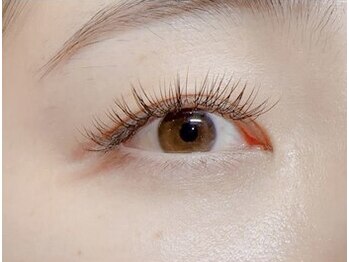 フック(HooK)/フラットラッシュ120本