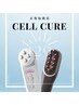 【圧倒的な実力をお試しください】美顔器30分+よもぎ蒸し30分 ¥11,000