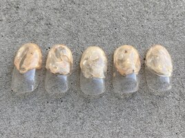 定額コースsパラジェル変更可◎