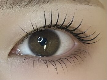 【まつげパーマ/マツエク/アイブロウ/シマ―ラッシュ】NARO -ナロ- 南平岸/上下パーマ