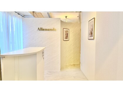 アラマンダ(Allamanda)の写真