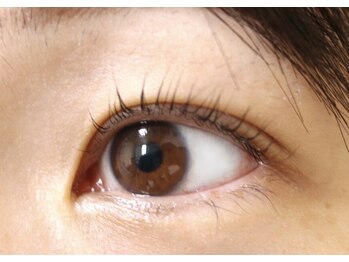 プロジェック/まつ毛パーマ