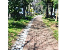 テラス(Terrace)/お店は遊歩道沿いにあります