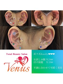 ヴィーナス(Venus)/耳ツボ