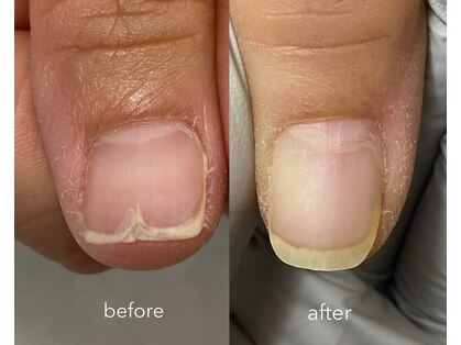 ととりえの写真