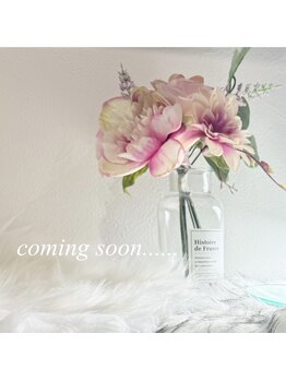 エイジェム ネイルスタジオ(Agem)/定額サンプルA