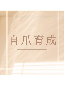 ミモザ(mimosa)/