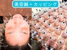 【美容鍼＋無数のカッピング(うつ伏せ)】平日は500円OFF!!