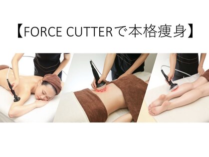トトノエル(TOTONOEL)の写真