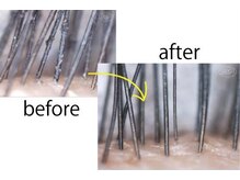 チャーム 草津東口店(Charm)/アイスパ♪